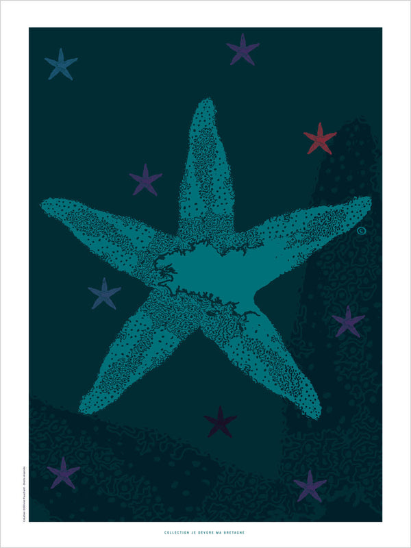 Affiche Étoile de mer