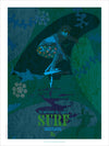 Affiche Surf 20