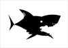 Affiche Requin